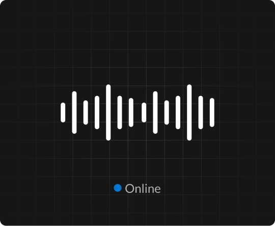 Custom Voice Agents