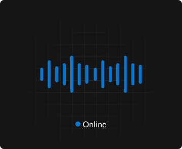 Custom Voice Agents